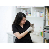 vacina giardia gatos preço Sudoeste