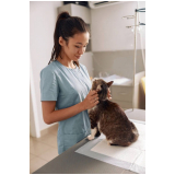 veterinária felinos agendar Cidade Ocidental