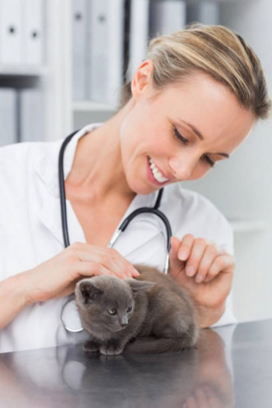 Vacina Antirrábica para Gatos Preço Planaltina - Vacina V5 para Gatos