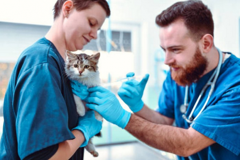 Vacina da Gripe para Animais Tocantínia - Vacinas para Animais Domésticos