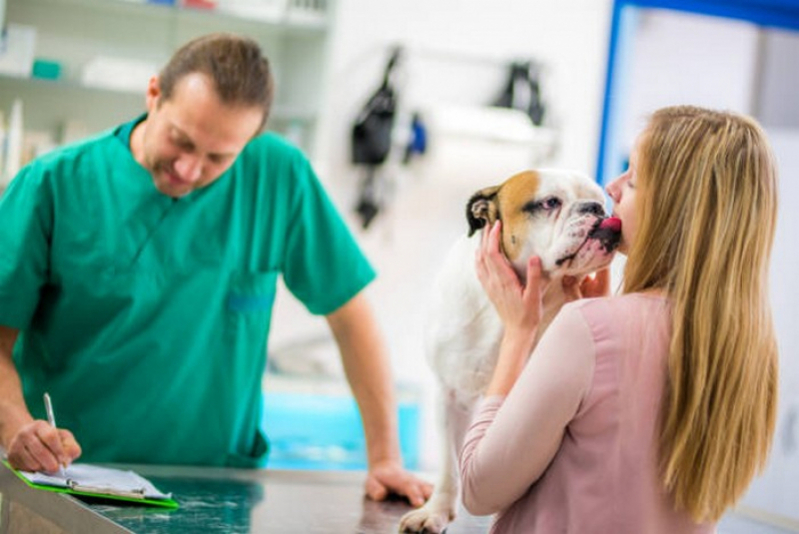 Veterinário Cães e Gatos 24h Plano Piloto - Veterinário para Cachorros